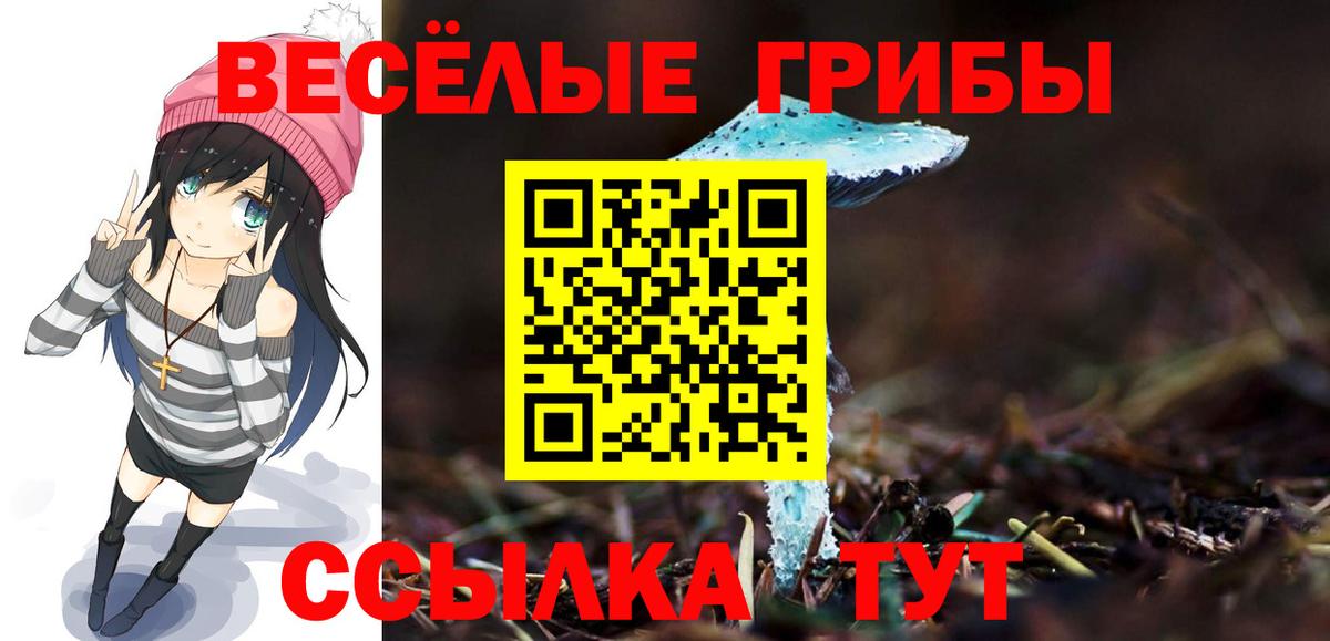 Отрадное  Галлюциногенные грибы Cubensis  Вход с VPN 