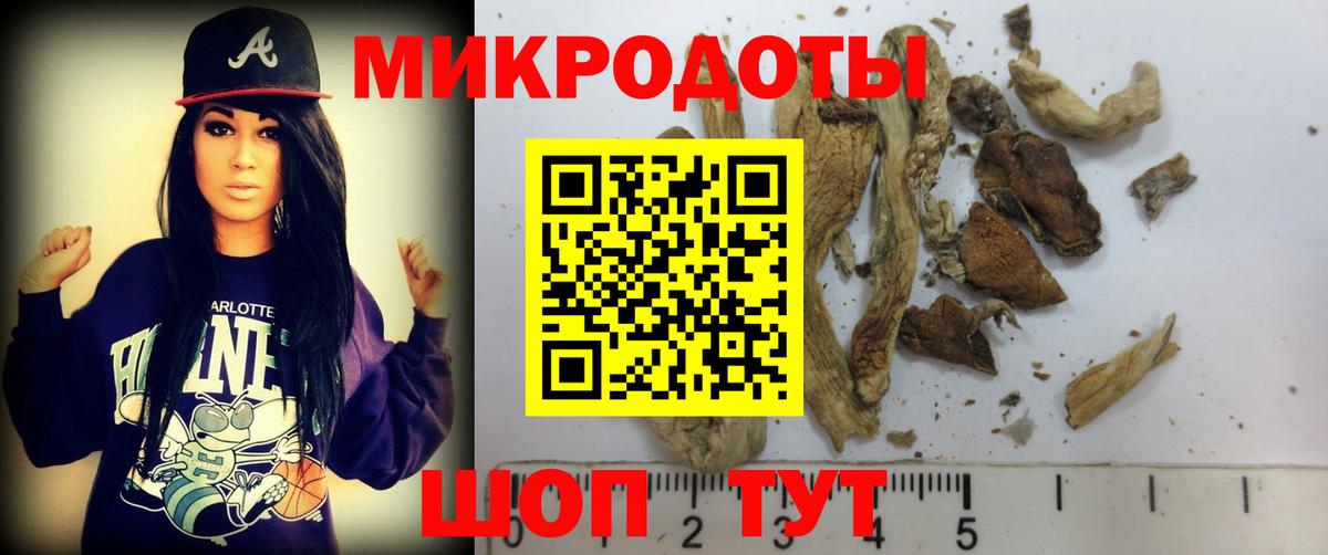 Псилоцибиновые грибы ЛСД Отрадное